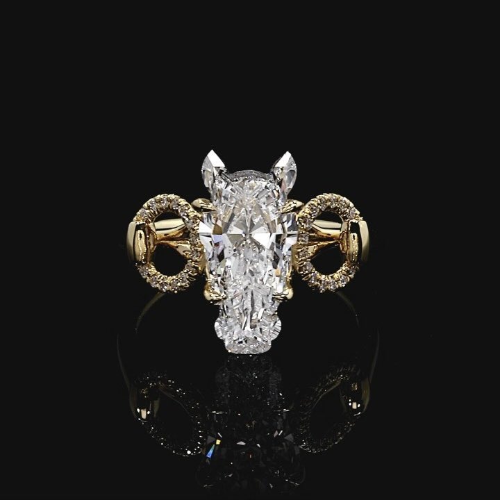 Slay or Neigh: Beyoncé's New Horse Shaped Ring