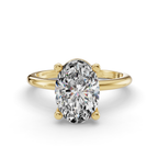 Azalea Lab Grown Oval Diamond Hidden Halo Solitaire Engagement Ring - Carter's Collective Fine Jewelry