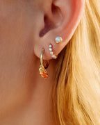 Curiosity Earrings