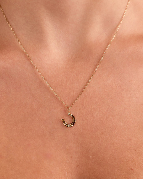 Luck Fluted Horseshoe Necklace