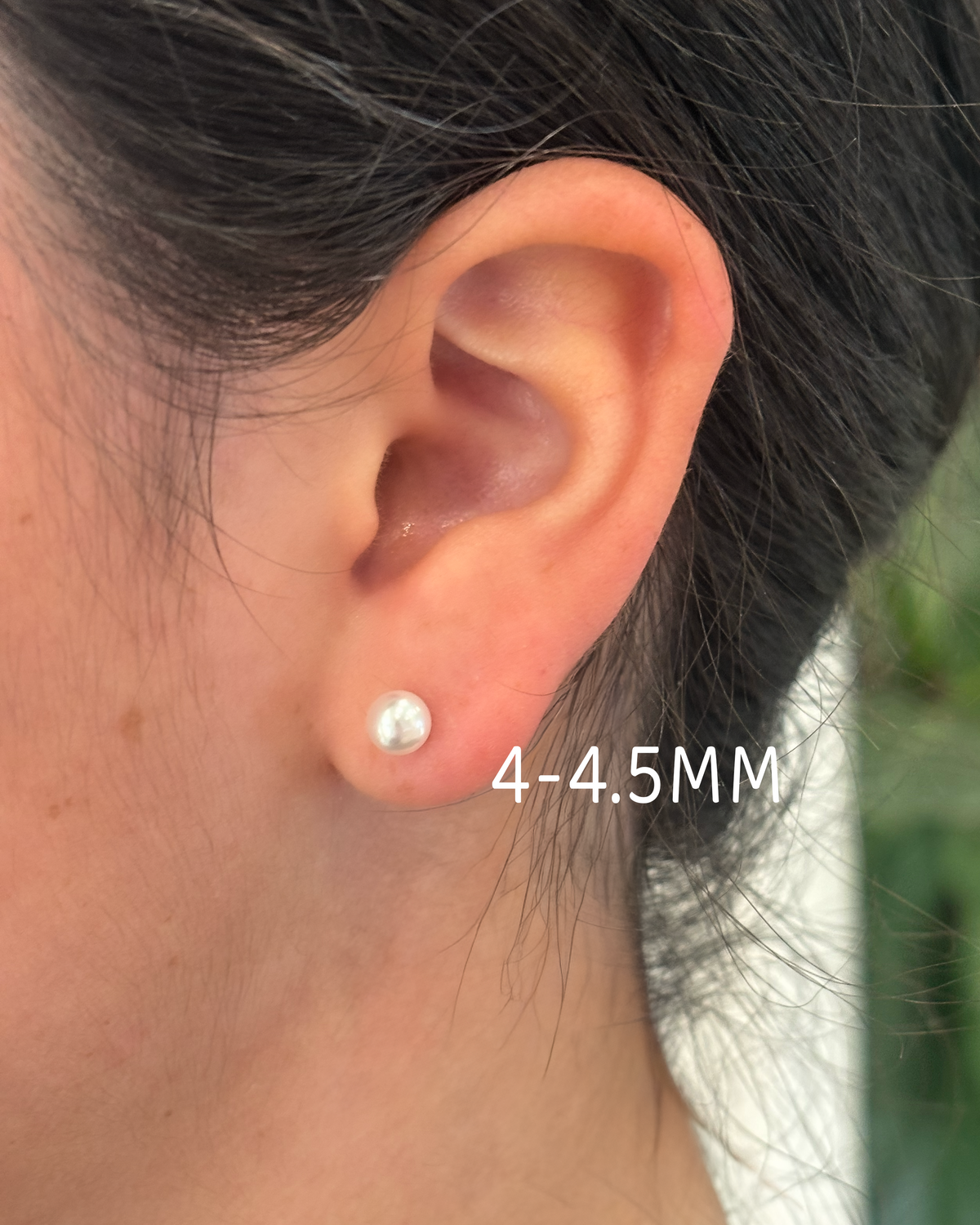 Freshwater Pearl Studs