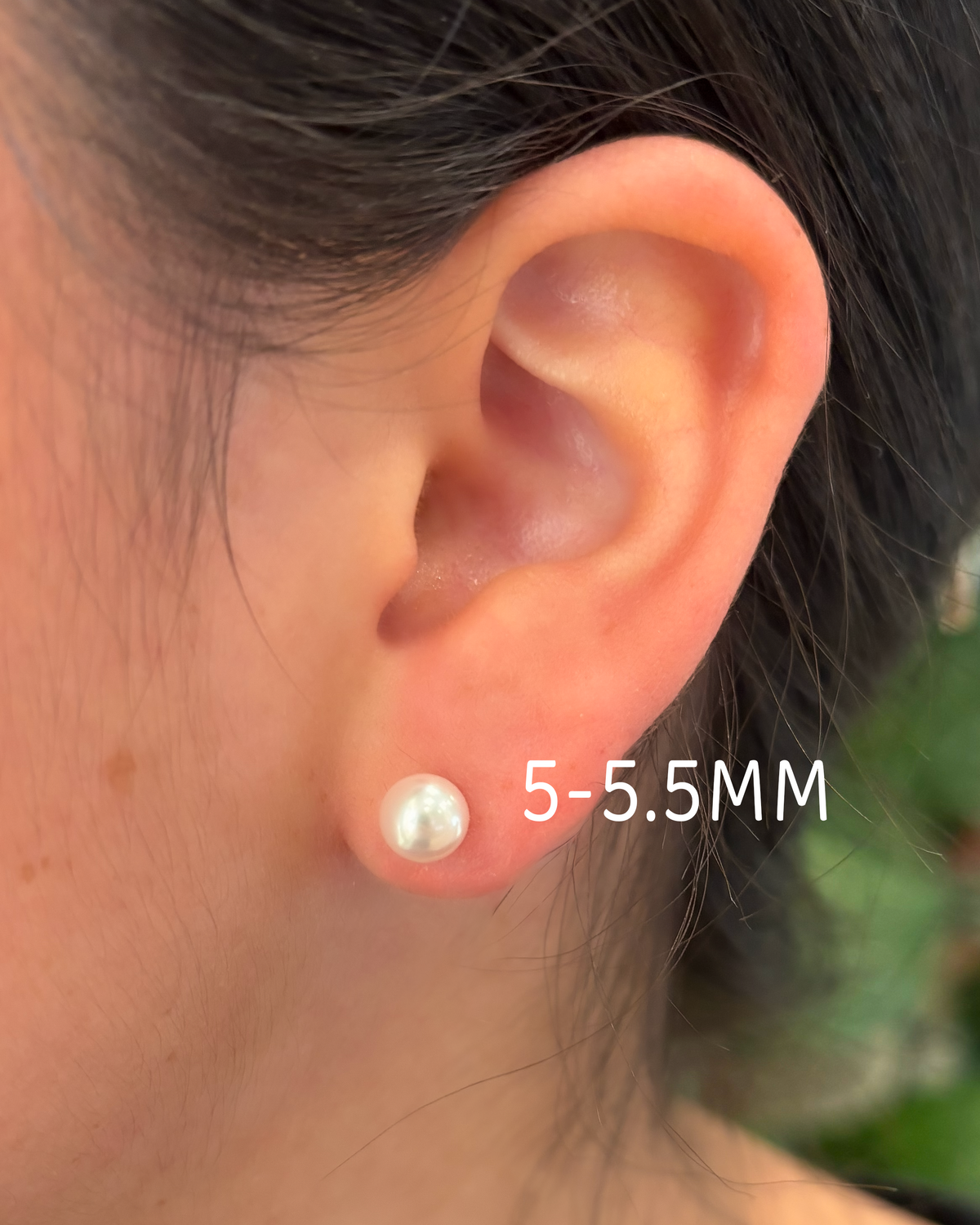 Freshwater Pearl Studs