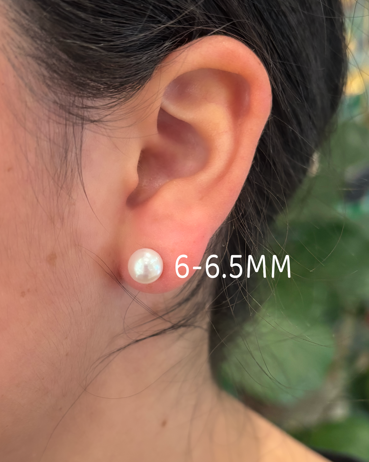 Freshwater Pearl Studs