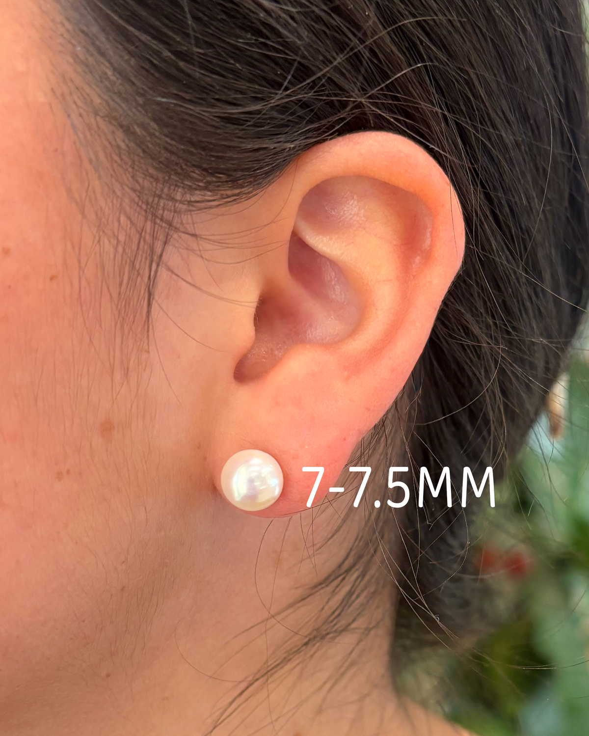 Freshwater Pearl Studs