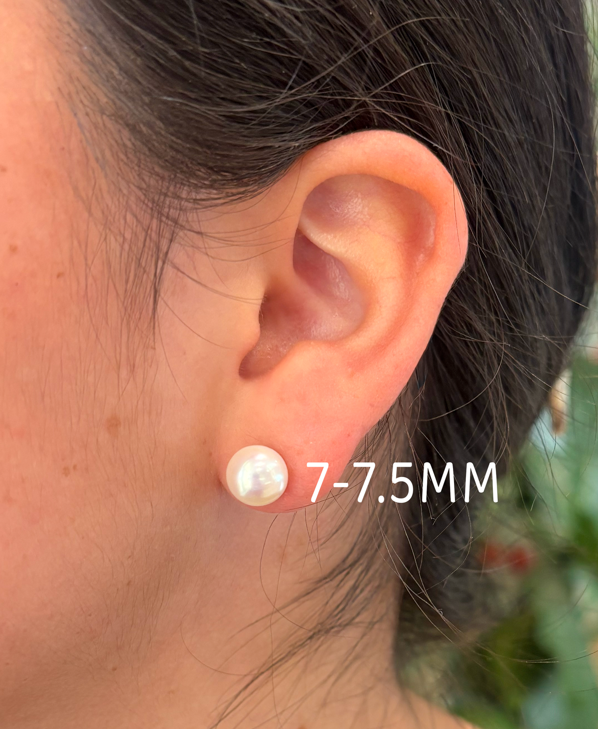 Classic Saltwater Pearl Studs