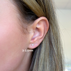 Saltwater Pearl Studs - Carter's Collective Fine Jewelry