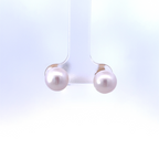 Saltwater Pearl Studs - Carter's Collective Fine Jewelry