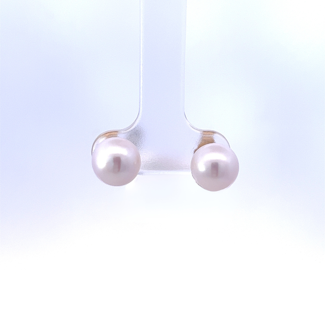 Saltwater Pearl Studs - Carter's Collective Fine Jewelry