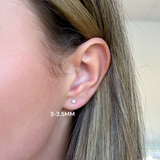 Saltwater Pearl Studs