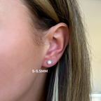 Saltwater Pearl Studs - Carter's Collective Fine Jewelry