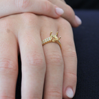 Round Double Row Diamond Band Engagement Ring Setting (Does Not Include Center Stone)