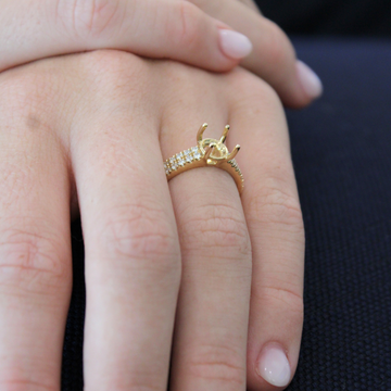 Round Double Row Diamond Band Engagement Ring Setting (Does Not Include Center Stone)