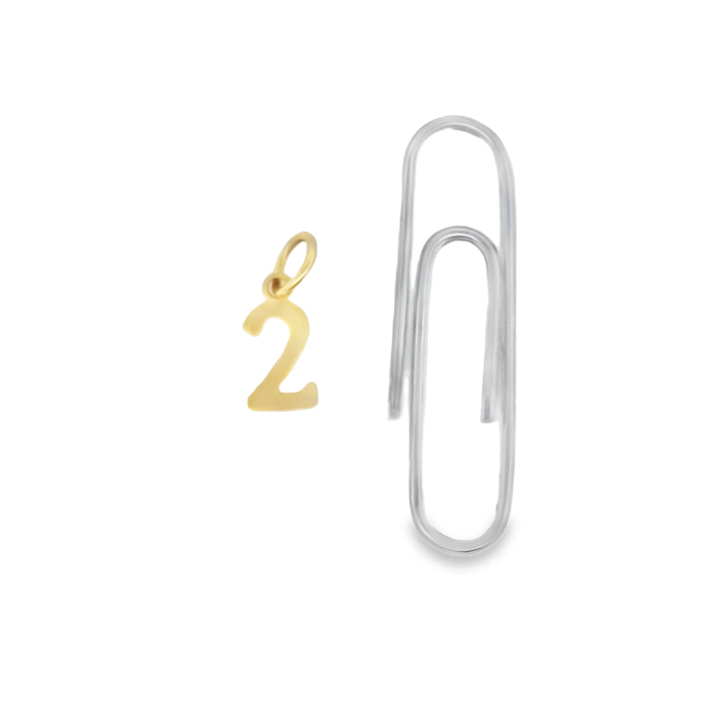 Petite Number 2 Charm - Carter's Collective Fine Jewelry