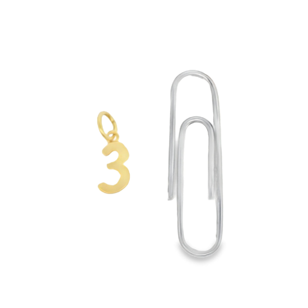 Petite Number 3 Charm - Carter's Collective Fine Jewelry